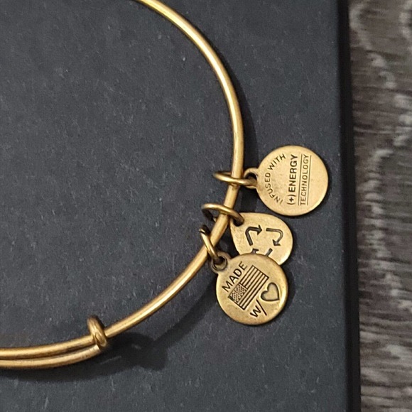 Alex and Ani Open Love Charm Bracelet - Picture 4 of 10
